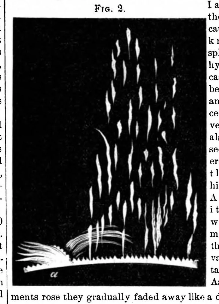 An illustration from Scientific American, Vol. 25, No. 21 (1871), 1871, leaf 4
