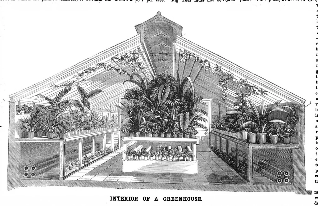 An illustration from Scientific American, Vol. 26, No. 12 (1872), 1872, leaf 3
