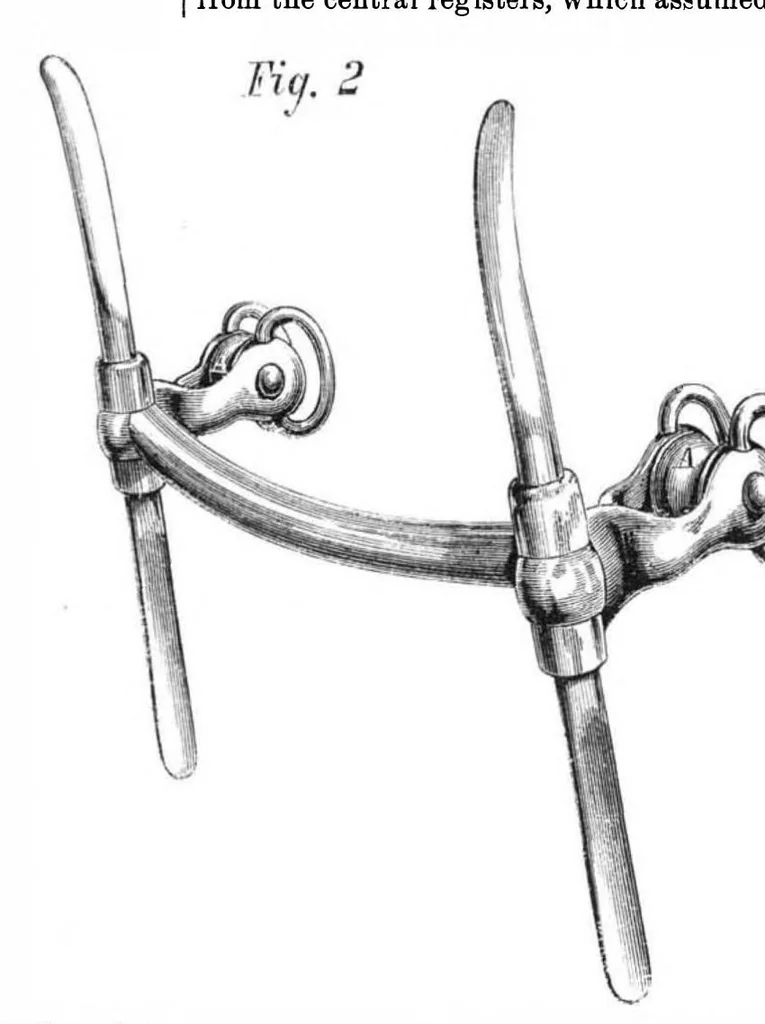 An illustration from Scientific American, Vol. 26, No. 21 (1872), 1872, leaf 7