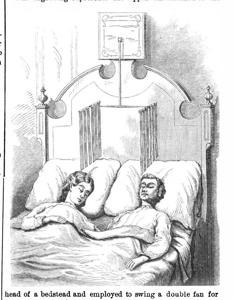 An illustration from Scientific American, Vol. 27, No. 6 (1872), 1872, leaf 3