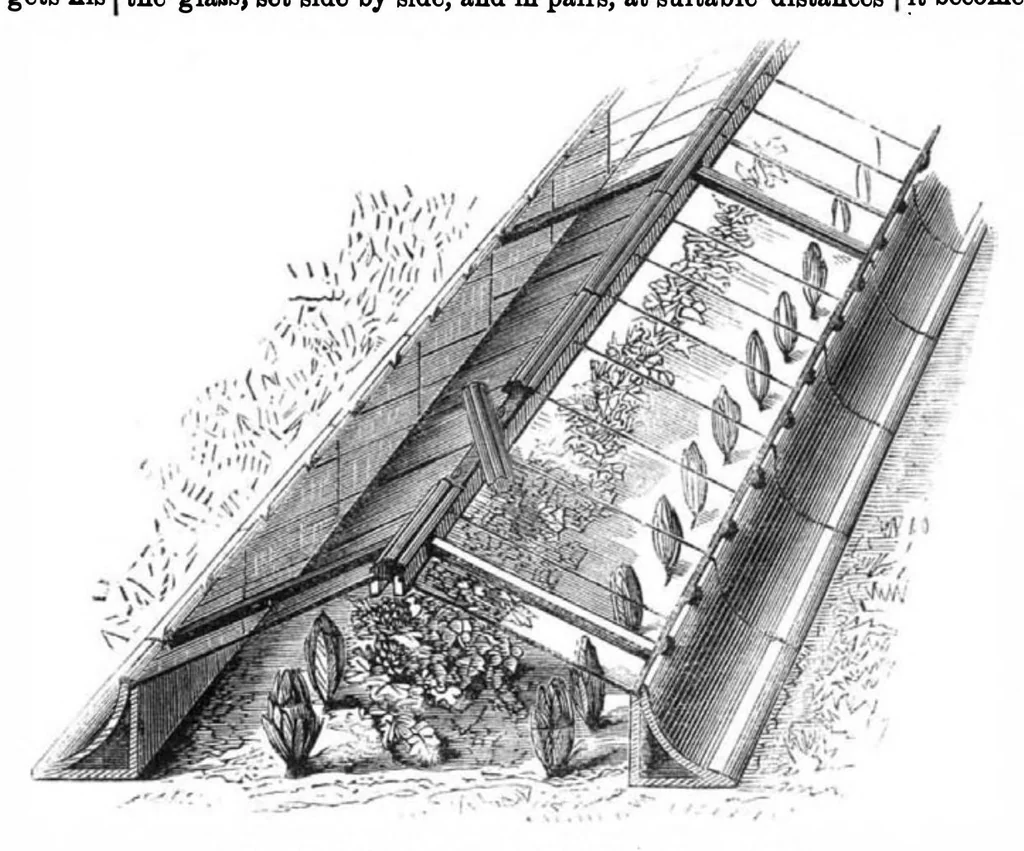 An illustration from Scientific American, Vol. 27, No. 19 (1872), 1872, leaf 3