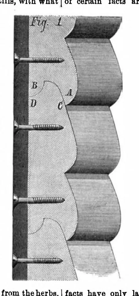 An illustration from Scientific American, Vol. 27, No. 20 (1872), 1872, leaf 4
