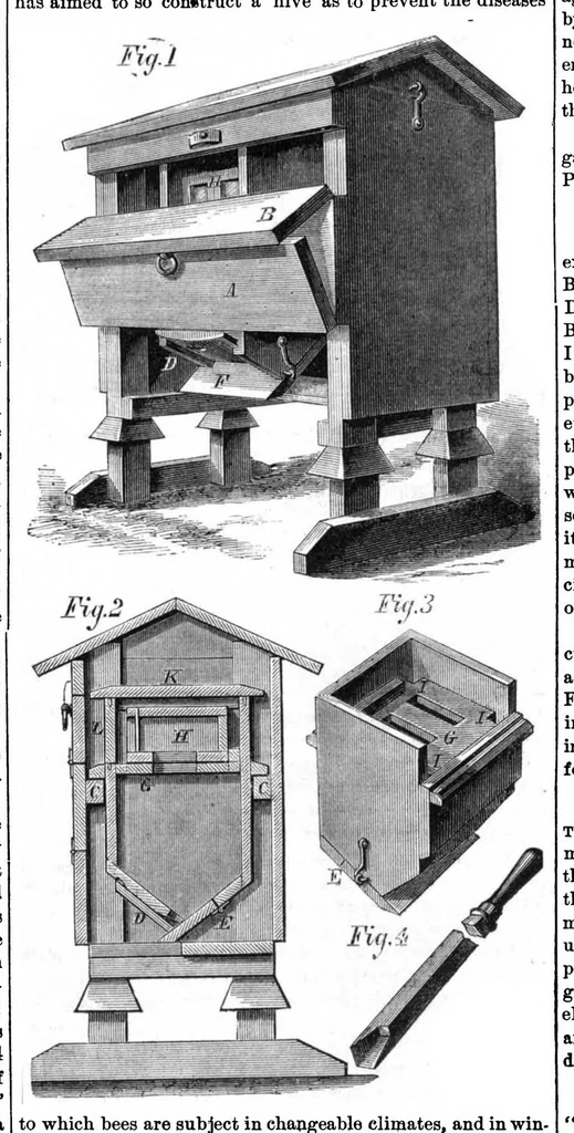 An illustration from Scientific American, Vol. 28, No. 1 (1873), 1873, leaf 6