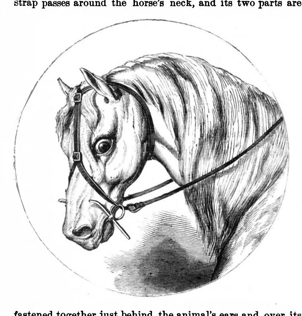 An illustration from Scientific American, Vol. 28, No. 4 (1873), 1873, leaf 7