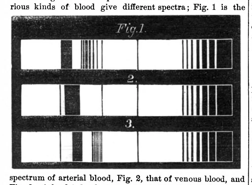 An illustration from Scientific American, Vol. 28, No. 7 (1873), 1873, leaf 4
