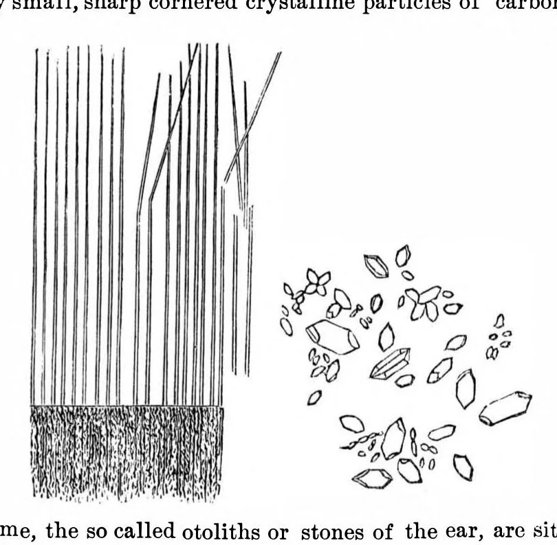 An illustration from Scientific American, Vol. 28, No. 15 (1873), 1873, leaf 3
