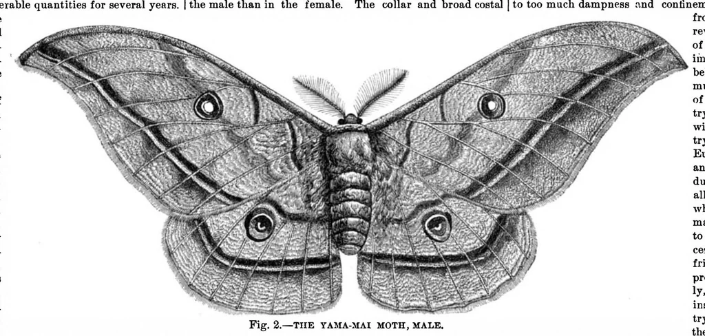 An illustration from Scientific American, Vol. 28, No. 25 (1873), 1873, leaf 3