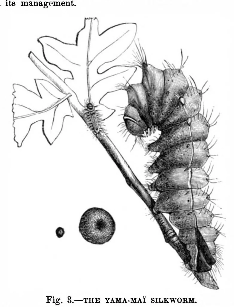 An illustration from Scientific American, Vol. 28, No. 25 (1873), 1873, leaf 3