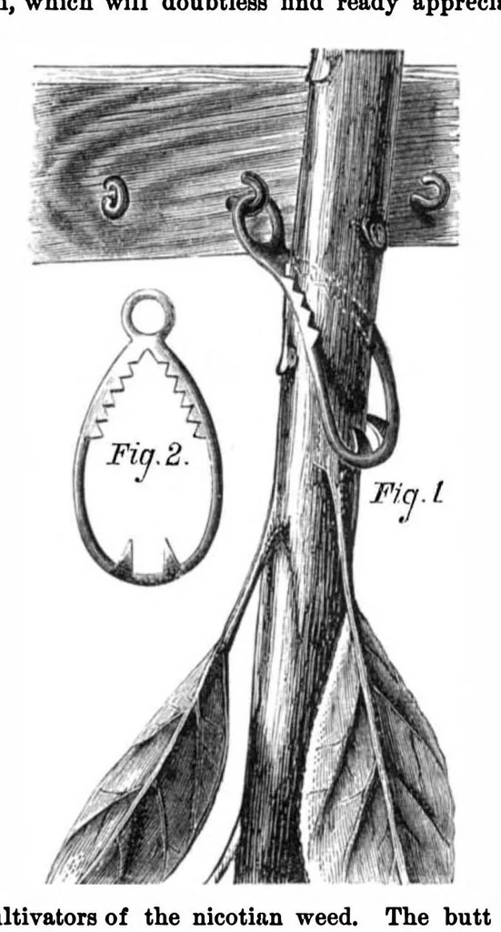 An illustration from Scientific American, Vol. 28, No. 26 (1873), 1873, leaf 3