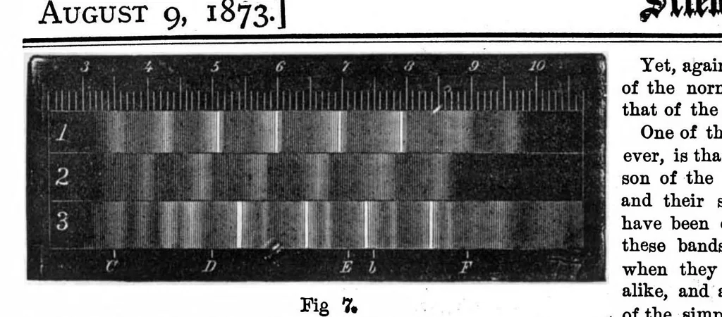 An illustration from Scientific American, Vol. 29, No. 6 (1873), 1873, leaf 4