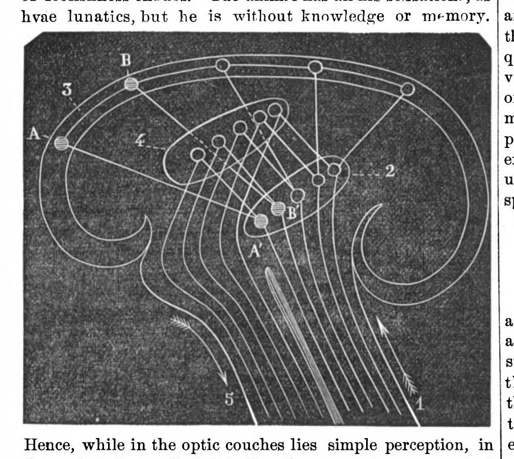 An illustration from Scientific American, Vol. 29, No. 15 (1873), 1873, leaf 2