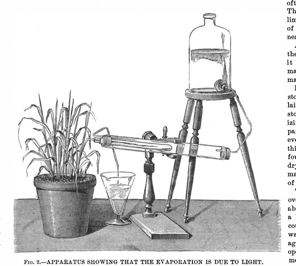 An illustration from Scientific American, Vol. 29, No. 15 (1873), 1873, leaf 4