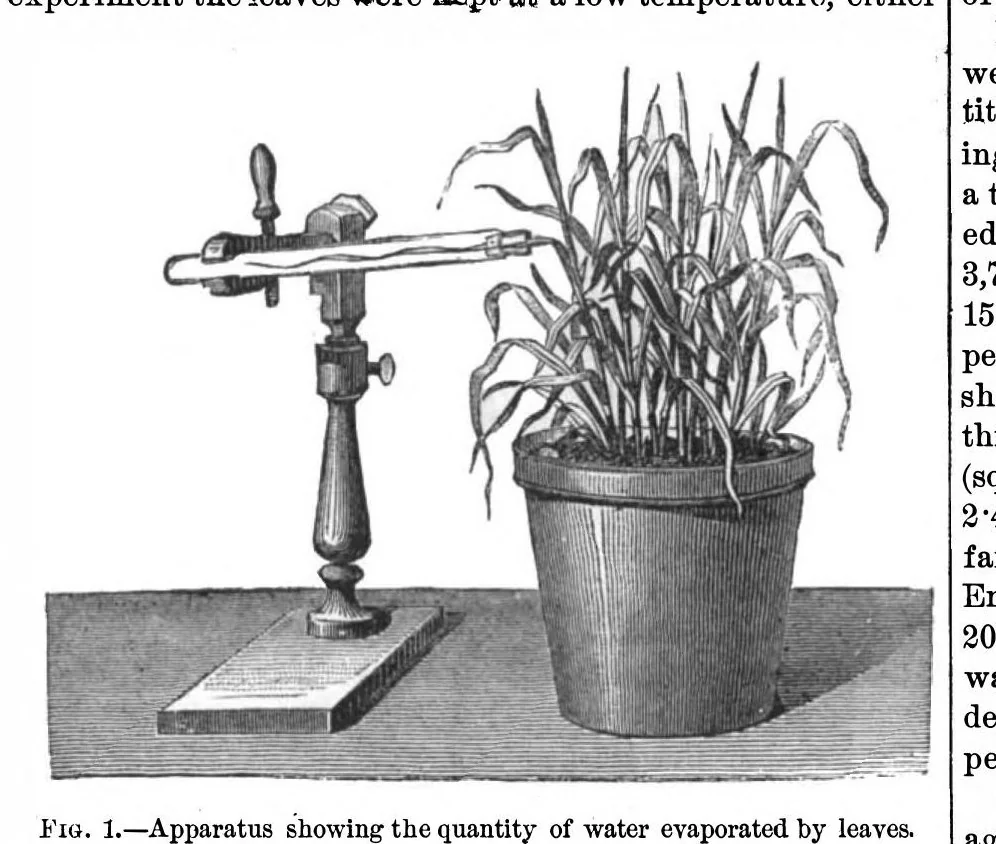 An illustration from Scientific American, Vol. 29, No. 15 (1873), 1873, leaf 4