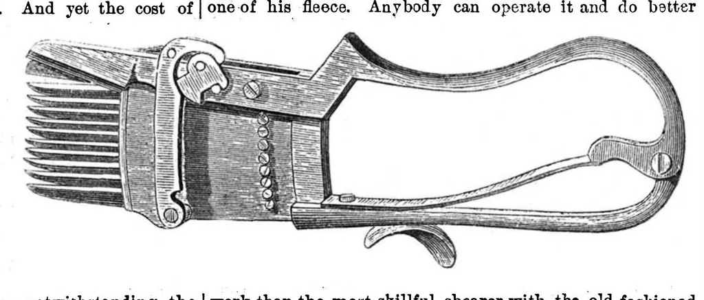 An illustration from Scientific American, Vol. 29, No. 20 (1873), 1873, leaf 7