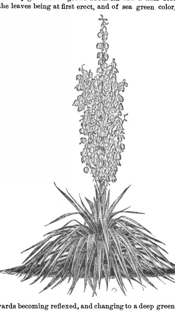 An illustration from Scientific American, Vol. 29, No. 23 (1873), 1873, leaf 7