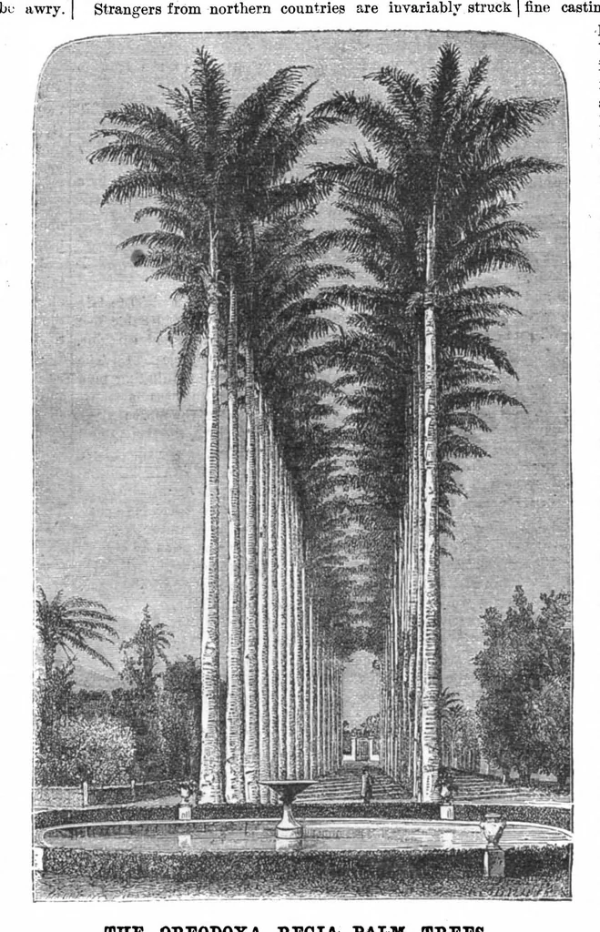 An illustration from Scientific American, Vol. 29, No. 24 (1873), 1873, leaf 4
