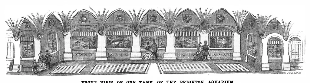 An illustration from Scientific American, Vol. 29, No. 24 (1873), 1873, leaf 8