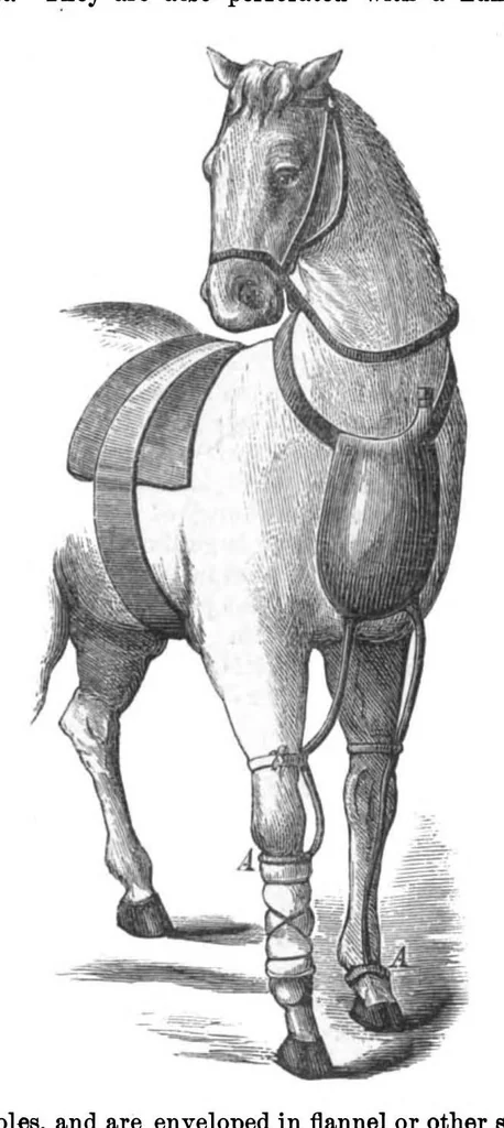 An illustration from Scientific American, Vol. 29, No. 26 (1873), 1873, leaf 7