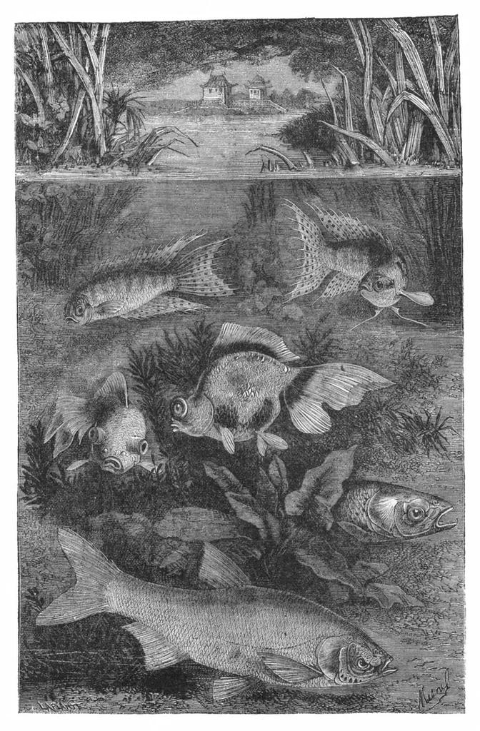 An illustration from Scientific American, Vol. 29, No. 26 (1873), 1873, leaf 8