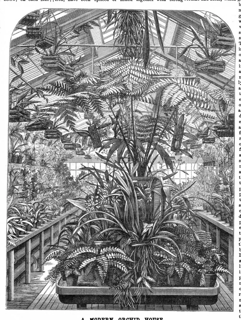 An illustration from Scientific American, Vol. 30, No. 4 (1874), 1874, leaf 8