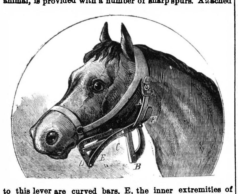 An illustration from Scientific American, Vol. 30, No. 21 (1874), 1874, leaf 3