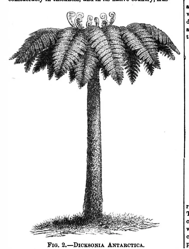 An illustration from Scientific American, Vol. 30, No. 21 (1874), 1874, leaf 8