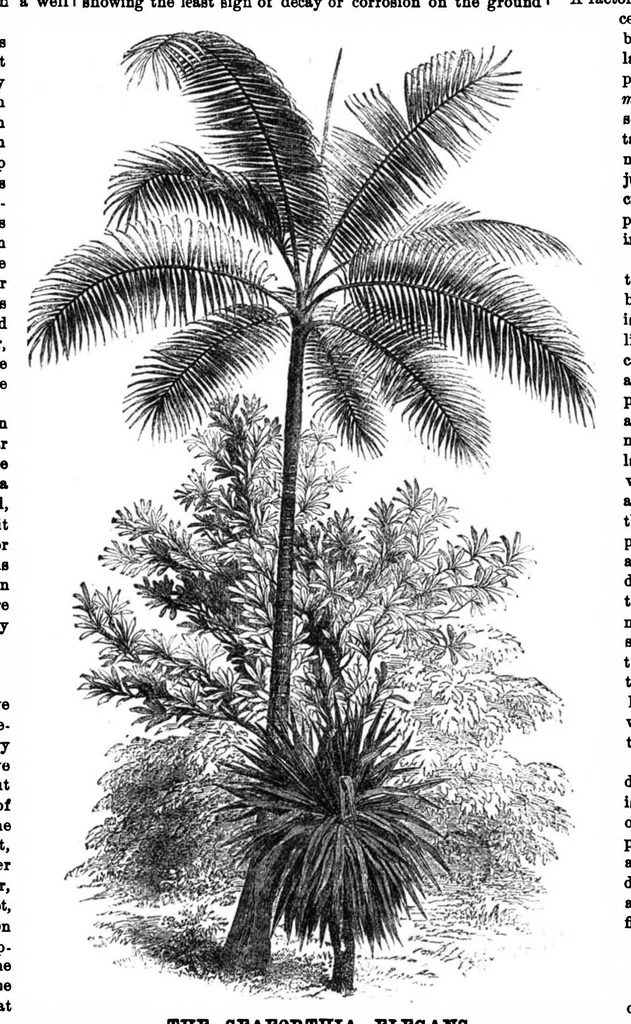 An illustration from Scientific American, Vol. 30, No. 22 (1874), 1874, leaf 8