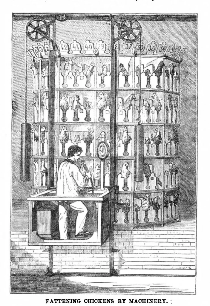 An illustration from Scientific American, Vol. 30, No. 23 (1874), 1874, leaf 3