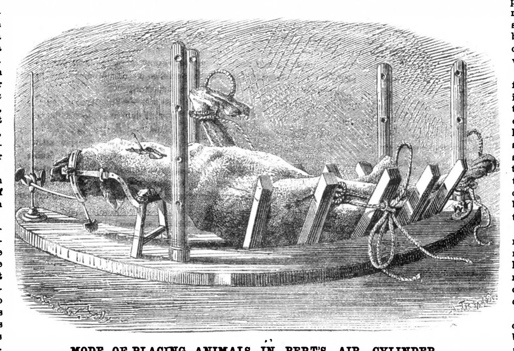 An illustration from Scientific American, Vol. 30, No. 26 (1874), 1874, leaf 4