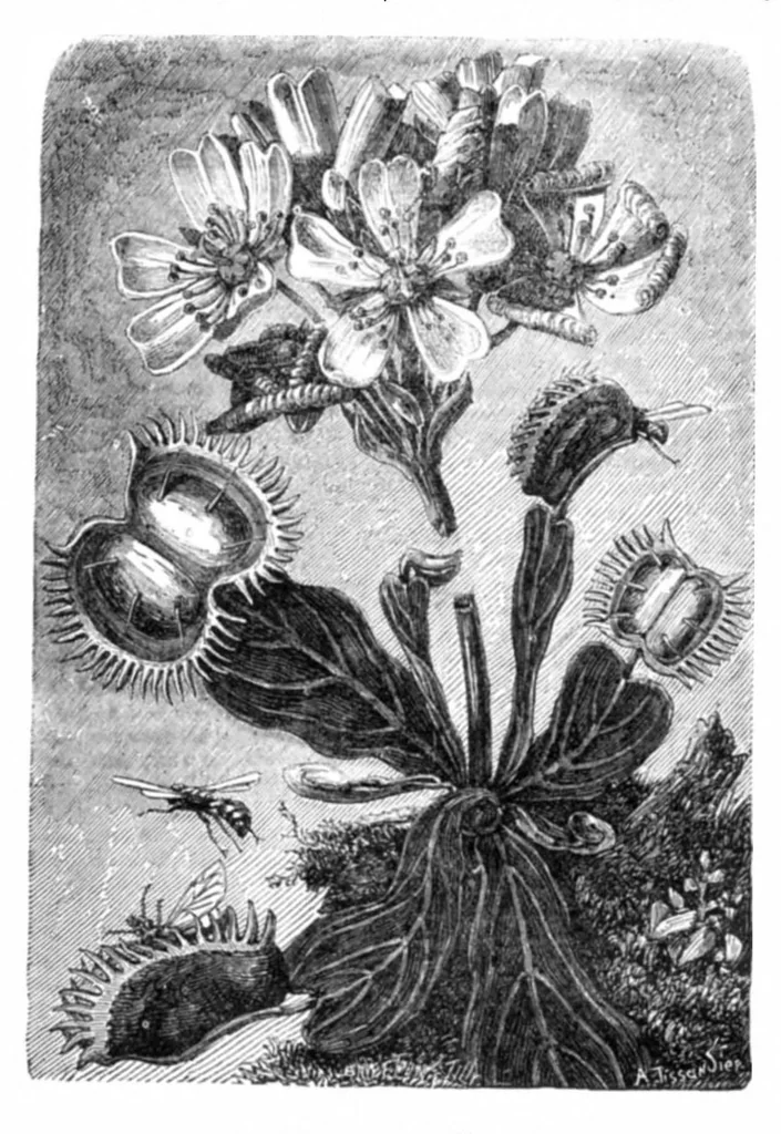 An illustration from Scientific American, Vol. 31, No. 1 (1874), 1874, leaf 4