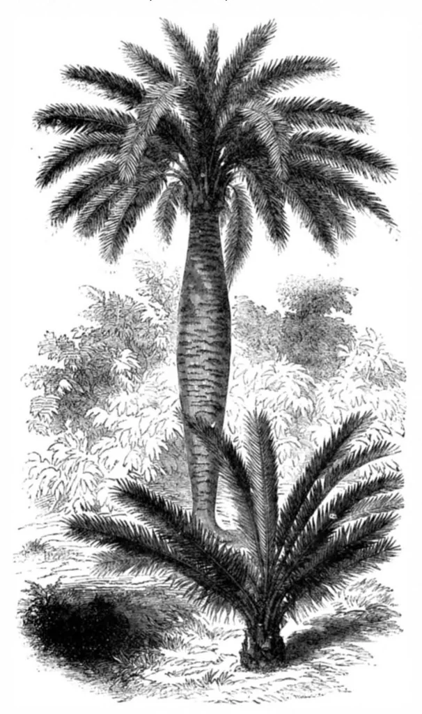 An illustration from Scientific American, Vol. 31, No. 1 (1874), 1874, leaf 7
