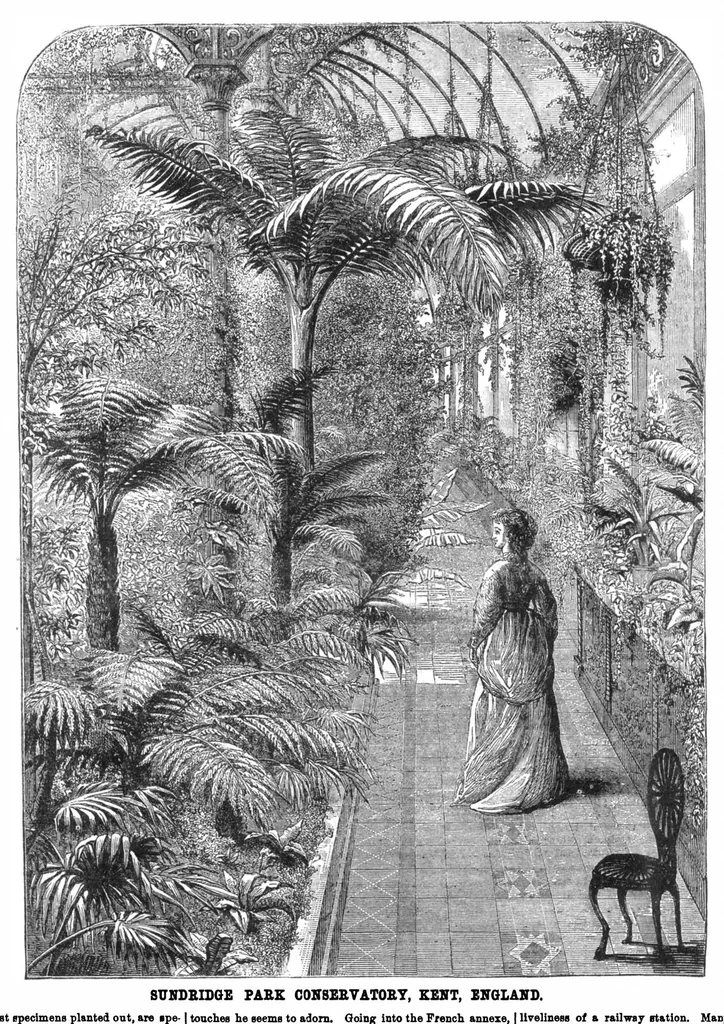 An illustration from Scientific American, Vol. 31, No. 5 (1874), 1874, leaf 8