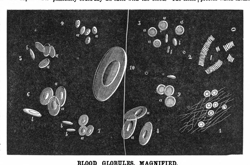 An illustration from Scientific American, Vol. 31, No. 10 (1874), 1874, leaf 3
