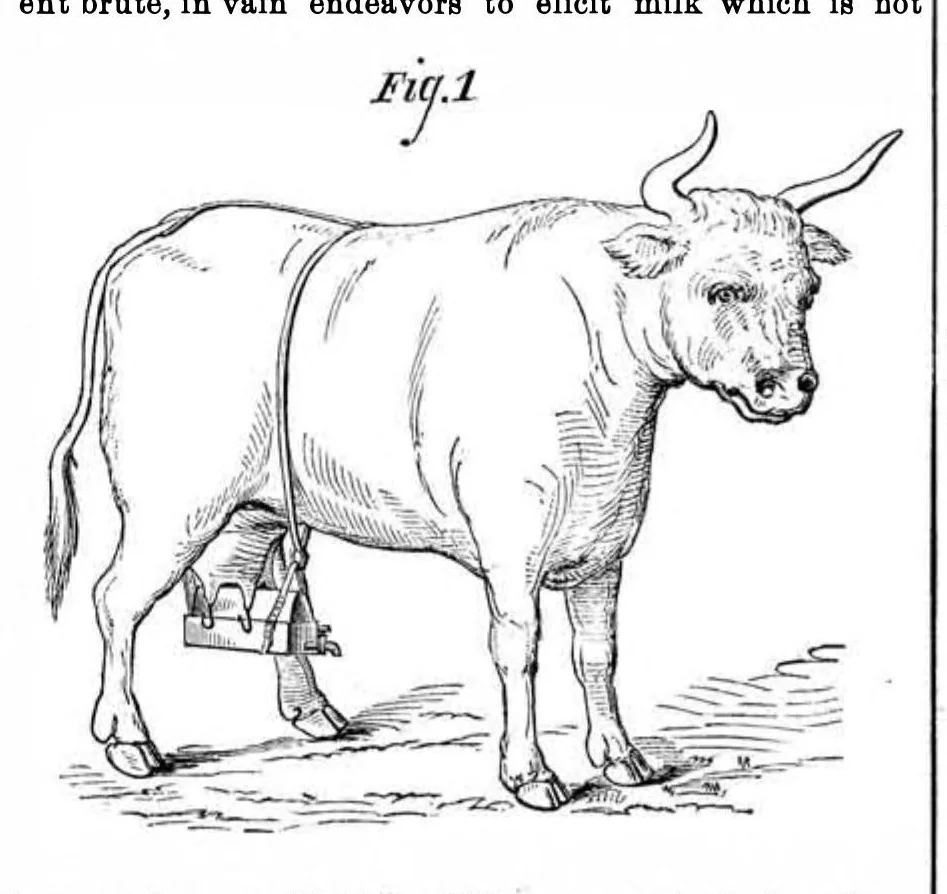 An illustration from Scientific American, Vol. 31, No. 16 (1874), 1874, leaf 3