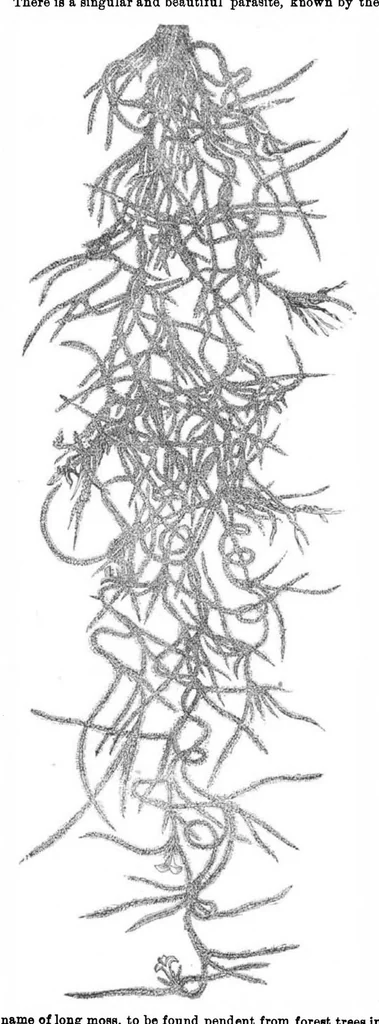 An illustration from Scientific American, Vol. 31, No. 17 (1874), 1874, leaf 8