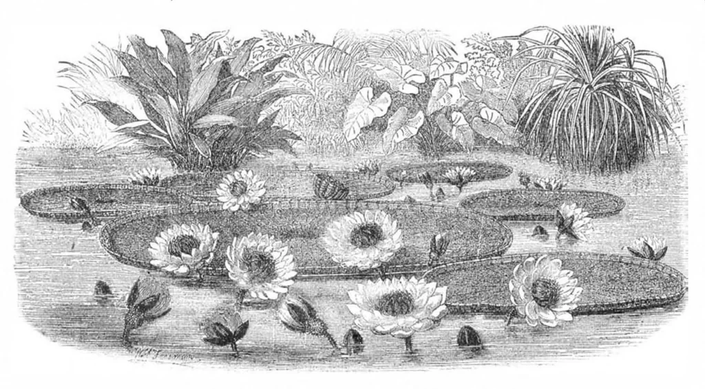 An illustration from Scientific American, Vol. 31, No. 17 (1874), 1874, leaf 8