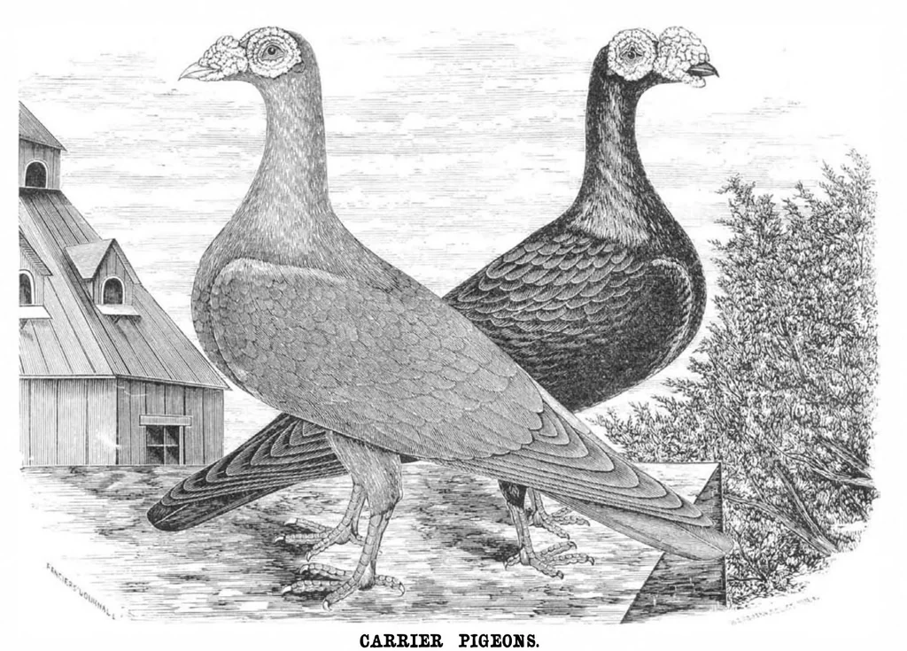 An illustration from Scientific American, Vol. 31, No. 20 (1874), 1874, leaf 3