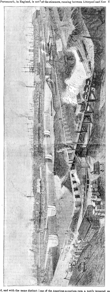 An illustration from Scientific American, Vol. 31, No. 23 (1874), 1874, leaf 3