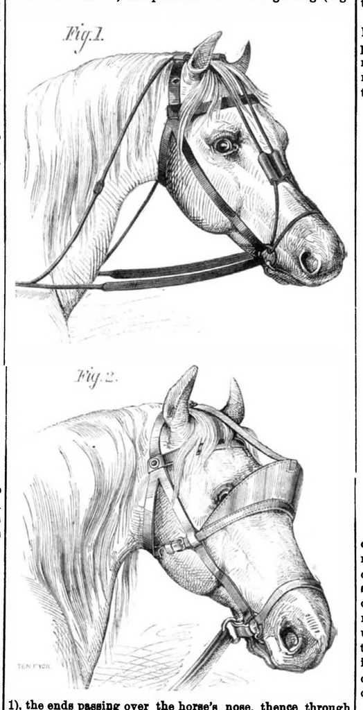 An illustration from Scientific American, Vol. 31, No. 23 (1874), 1874, leaf 7