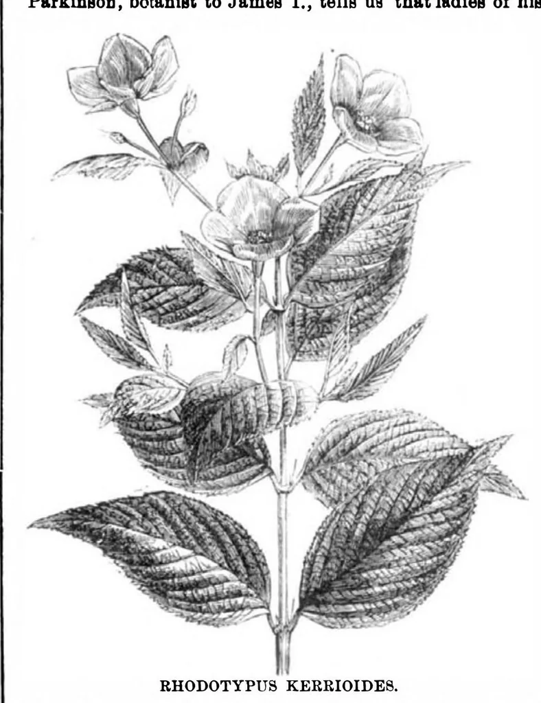 An illustration from Scientific American, Vol. 31, No. 23 (1874), 1874, leaf 8