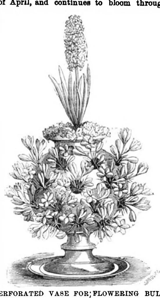 An illustration from Scientific American, Vol. 31, No. 23 (1874), 1874, leaf 8