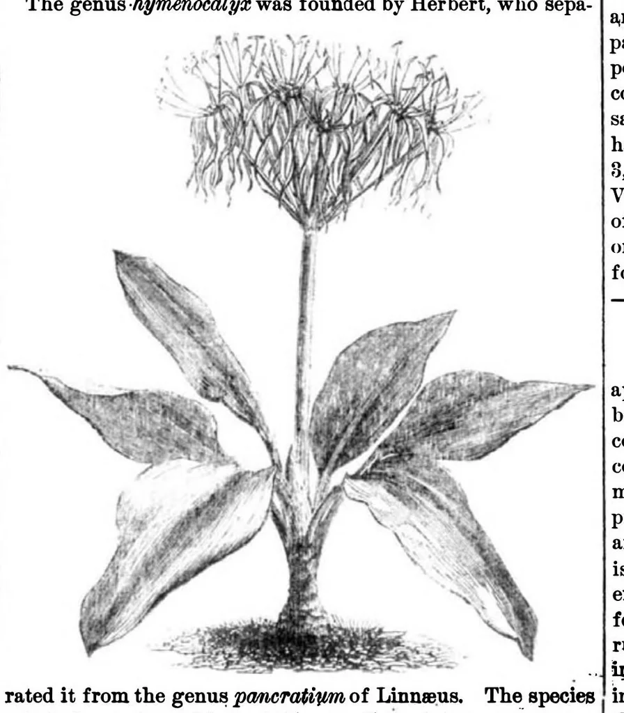 An illustration from Scientific American, Vol. 31, No. 25 (1874), 1874, leaf 8