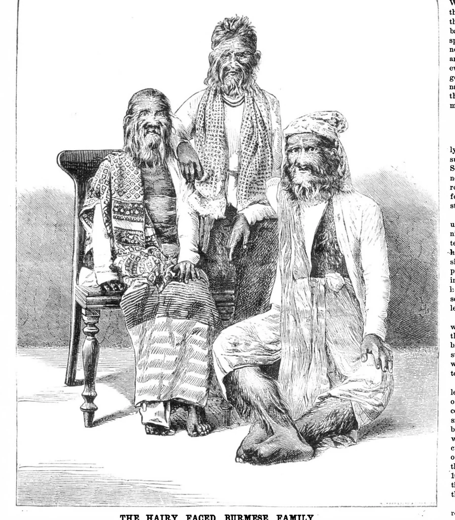 An illustration from Scientific American, Vol. 32, No. 8 (1875), 1875, leaf 8