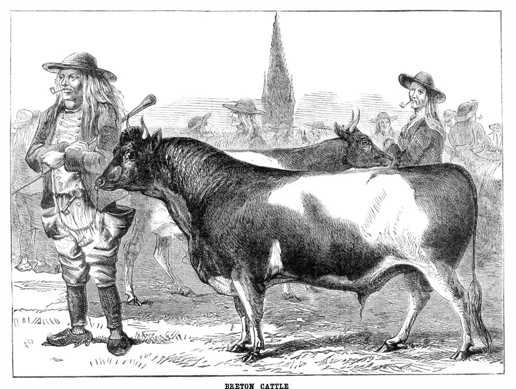 An illustration from Scientific American, Vol. 32, No. 10 (1875), 1875, leaf 8