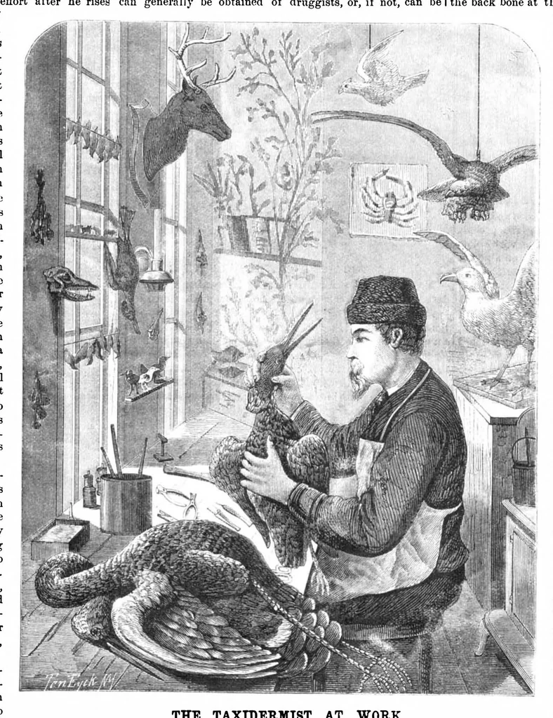 An illustration from Scientific American, Vol. 32, No. 11 (1875), 1875, leaf 0