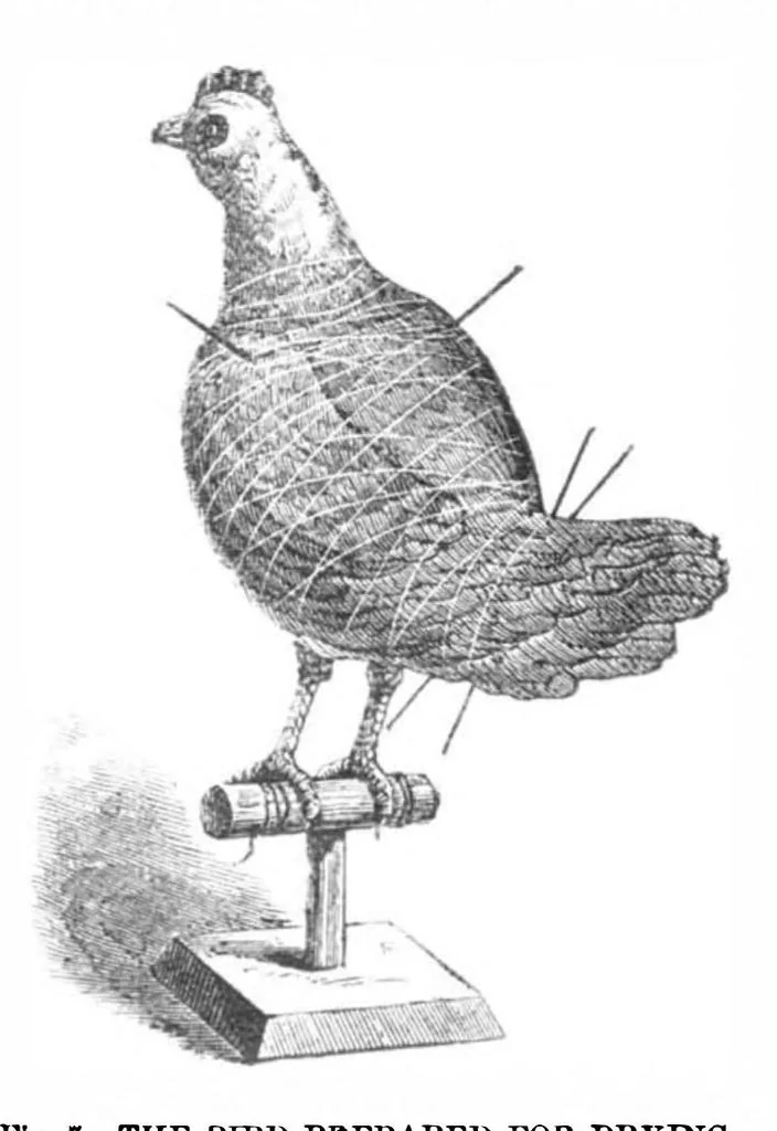 An illustration from Scientific American, Vol. 32, No. 11 (1875), 1875, leaf 1