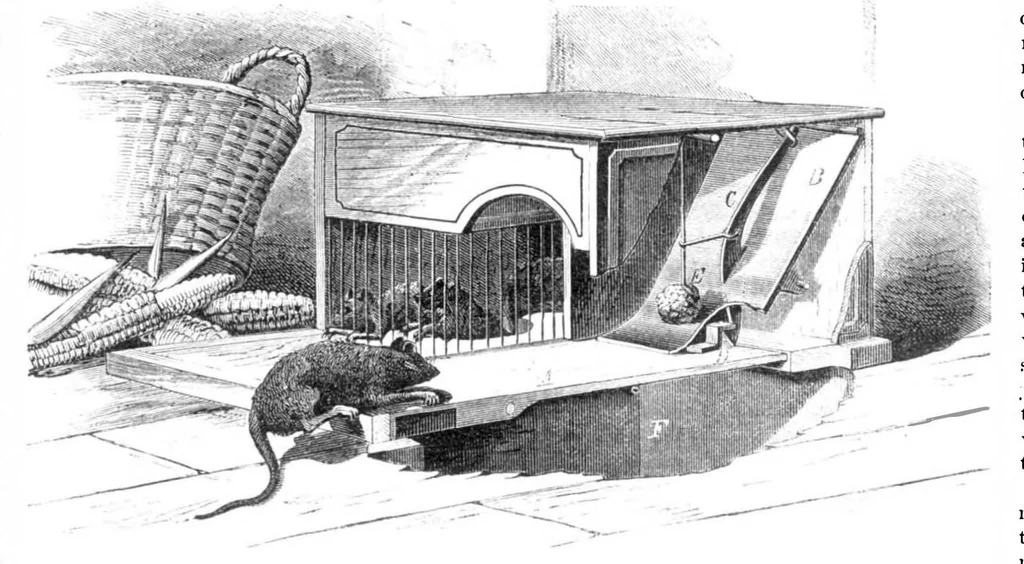 An illustration from Scientific American, Vol. 32, No. 11 (1875), 1875, leaf 3