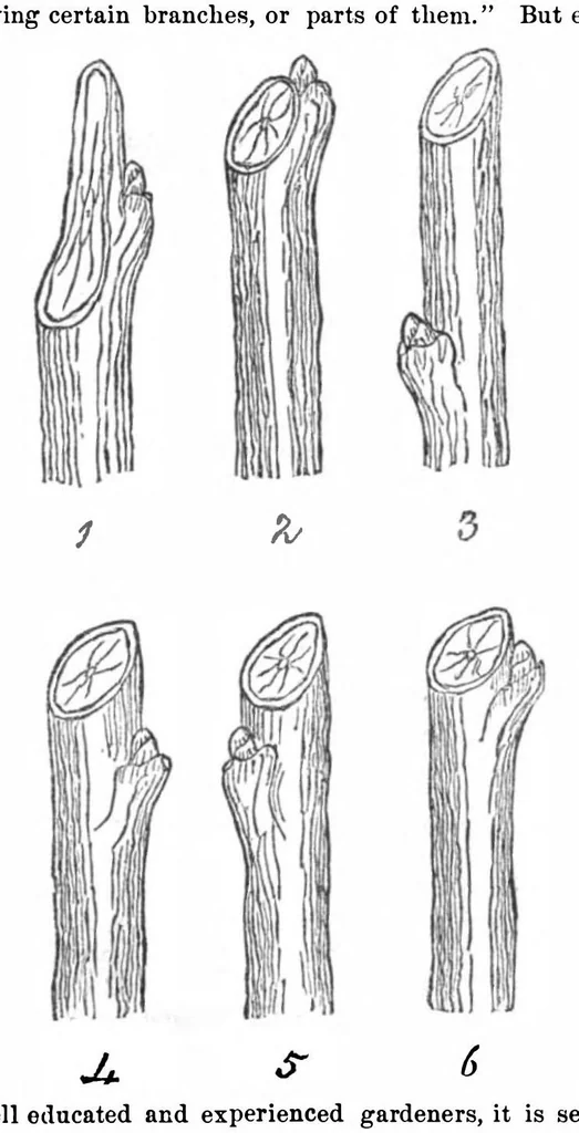 An illustration from Scientific American, Vol. 32, No. 11 (1875), 1875, leaf 3