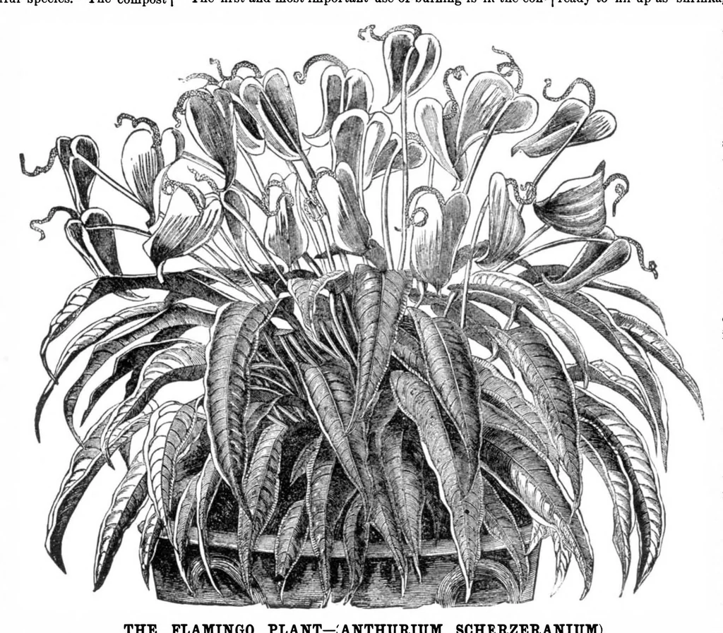 An illustration from Scientific American, Vol. 32, No. 11 (1875), 1875, leaf 8