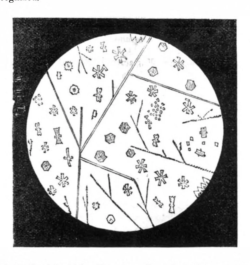 An illustration from Scientific American, Vol. 32, No. 12 (1875), 1875, leaf 3